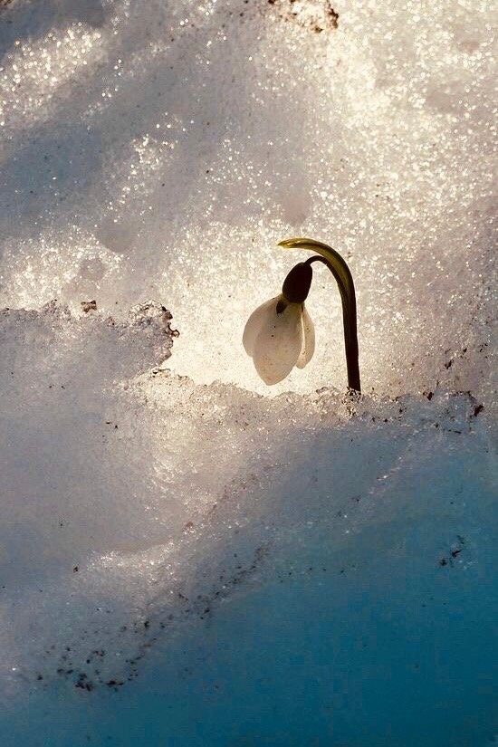 фото с тг-канала Иолтуховской