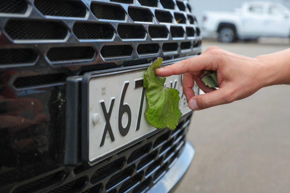    Наталья Шатохина/NEWS.ru