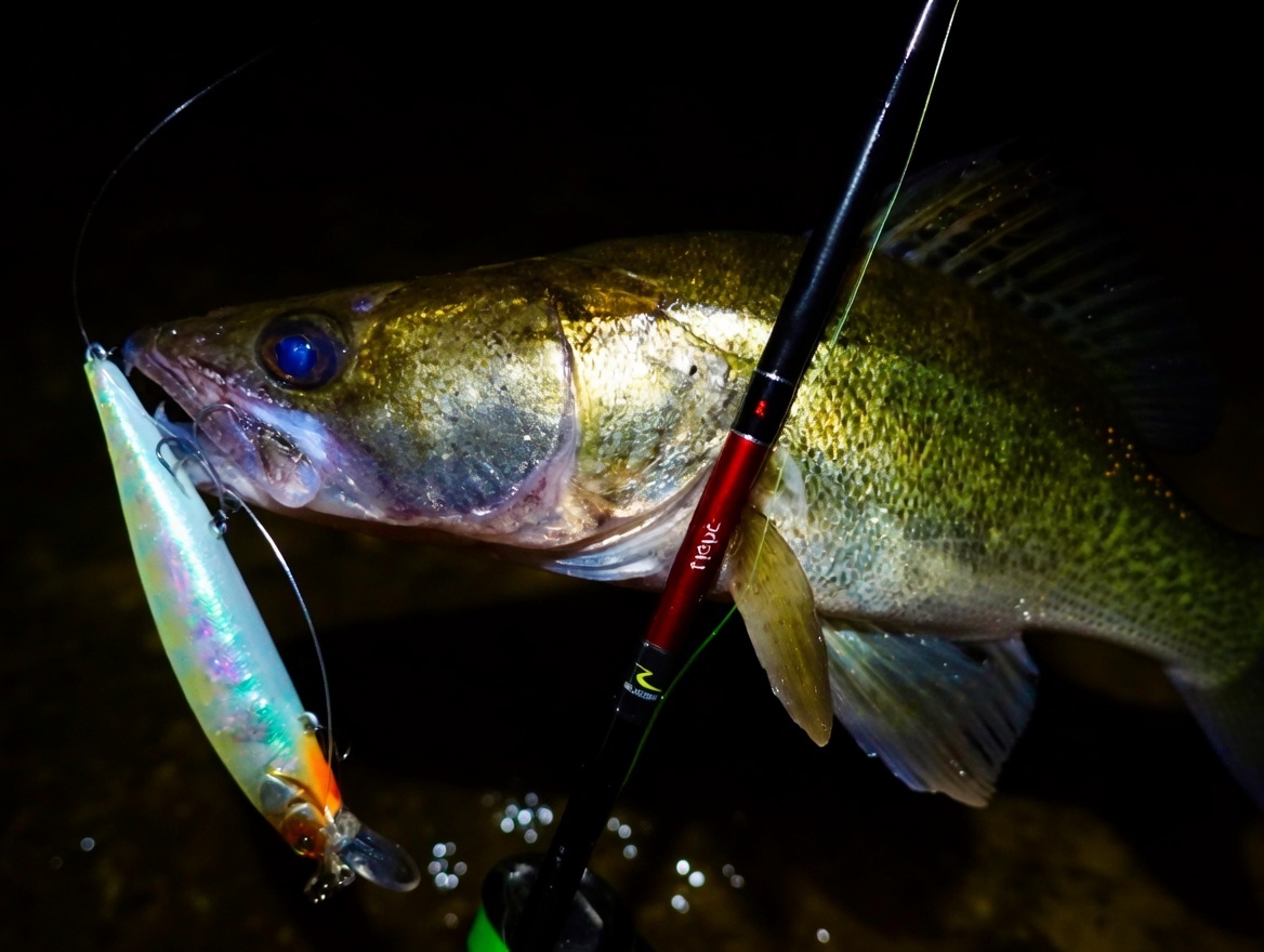 Ночная ловля судака очень интересна