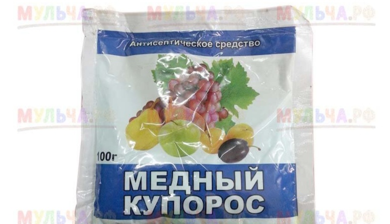 Фото из интернета 