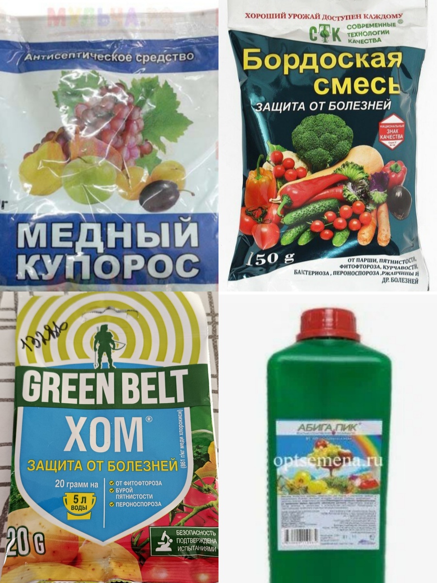 Коллаж автора 