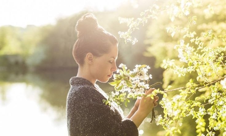 Источник: uk.pinterest.com/pin/635429828656672780/