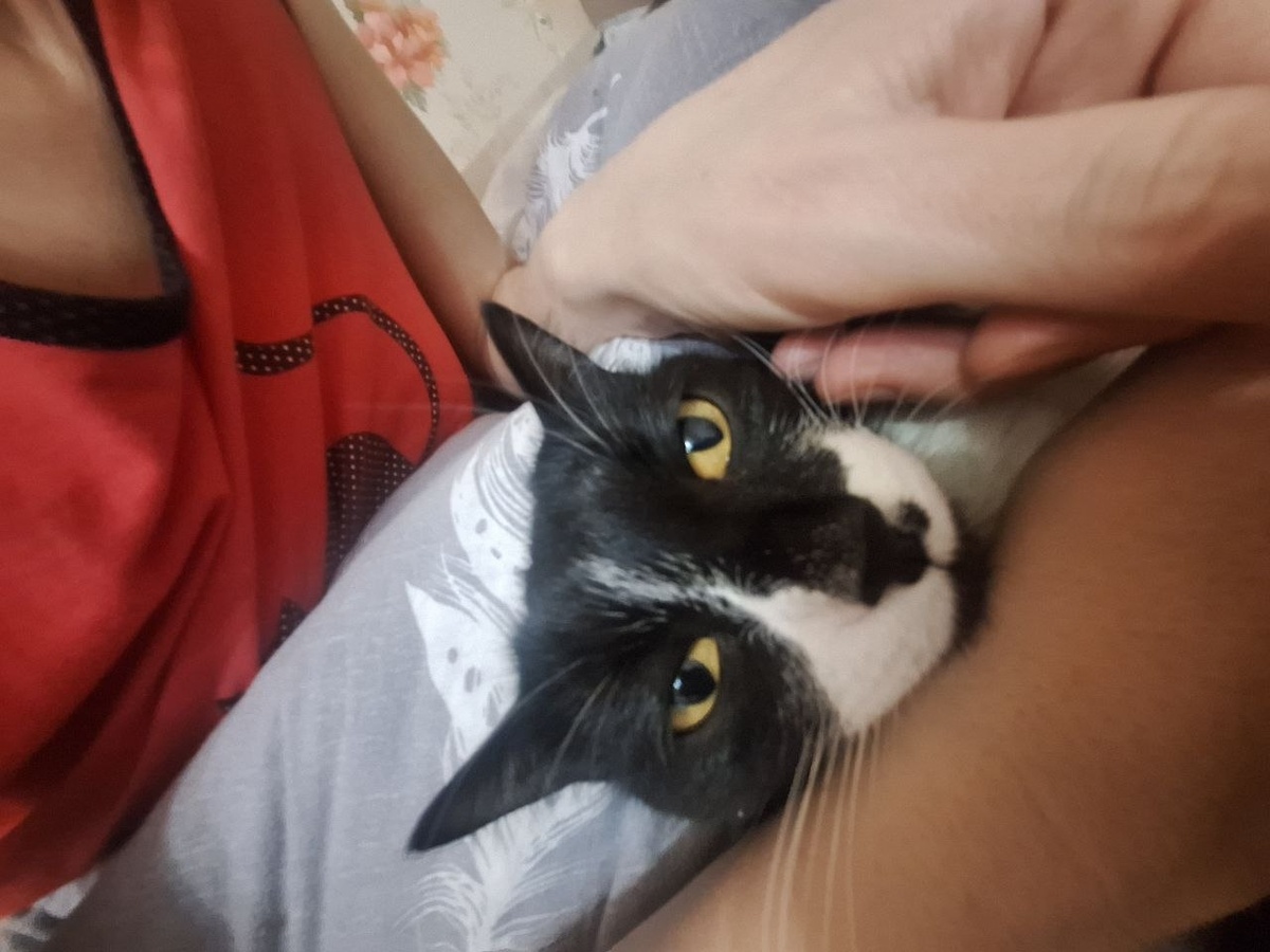 Хотели наказать, но вместо этого умилились и как давай нацеловывать и тискать всяко разно