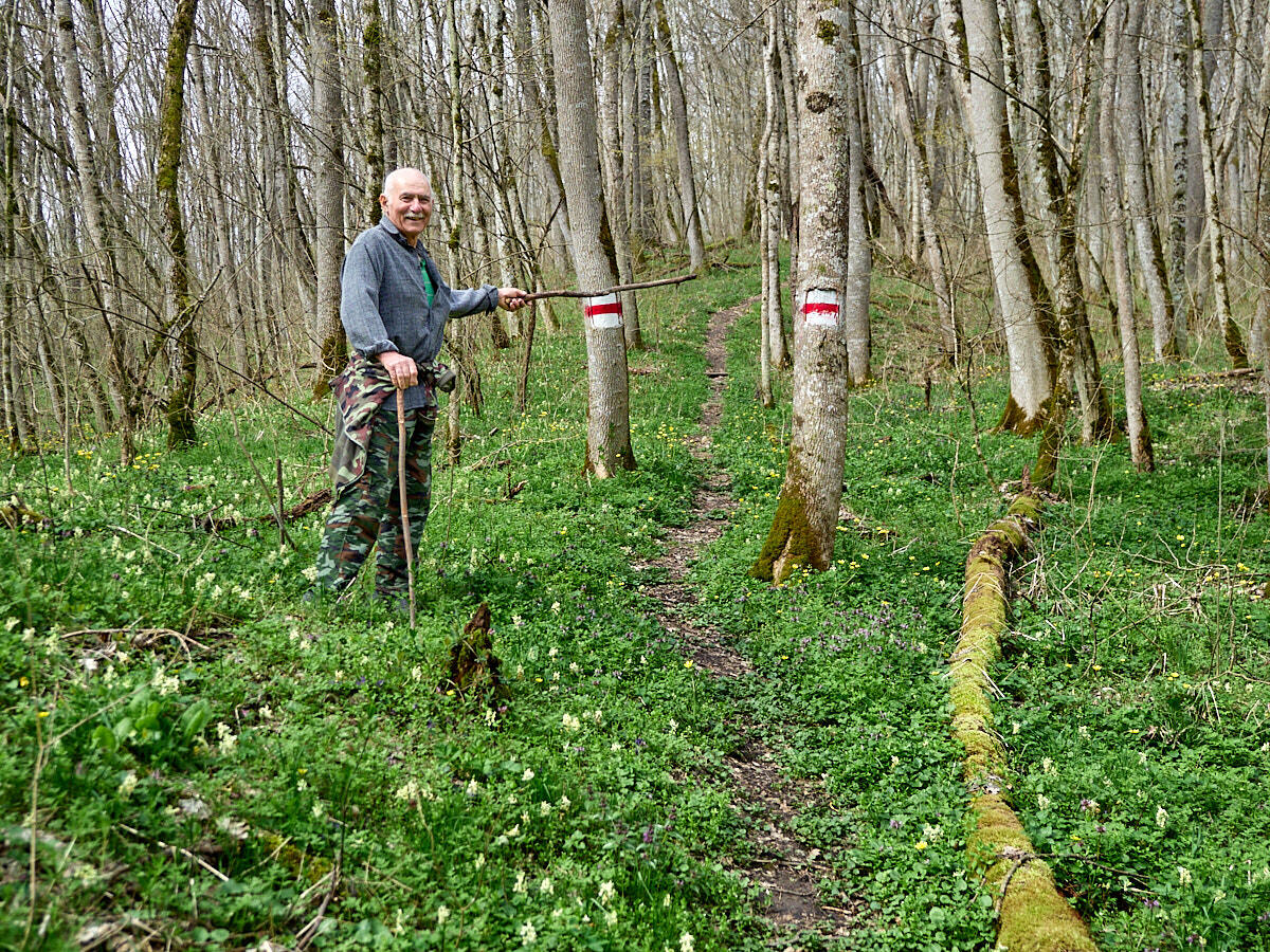 Тропа в долине Бабакова ручья