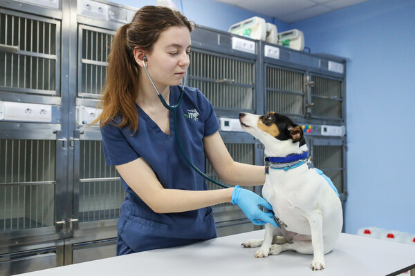 Petrov Sergey/news.ru/Global Look Press   📷