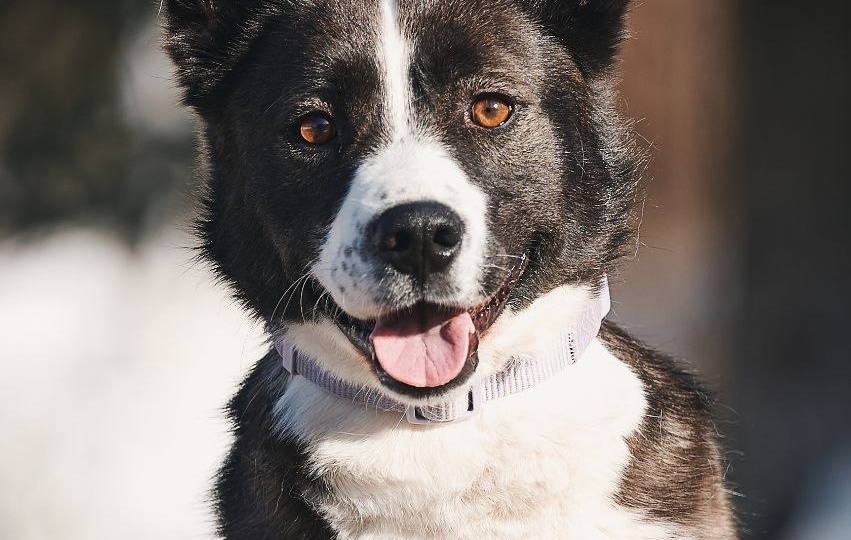 Она думала, что это навсегда, но её вернули без объяснений 🥺