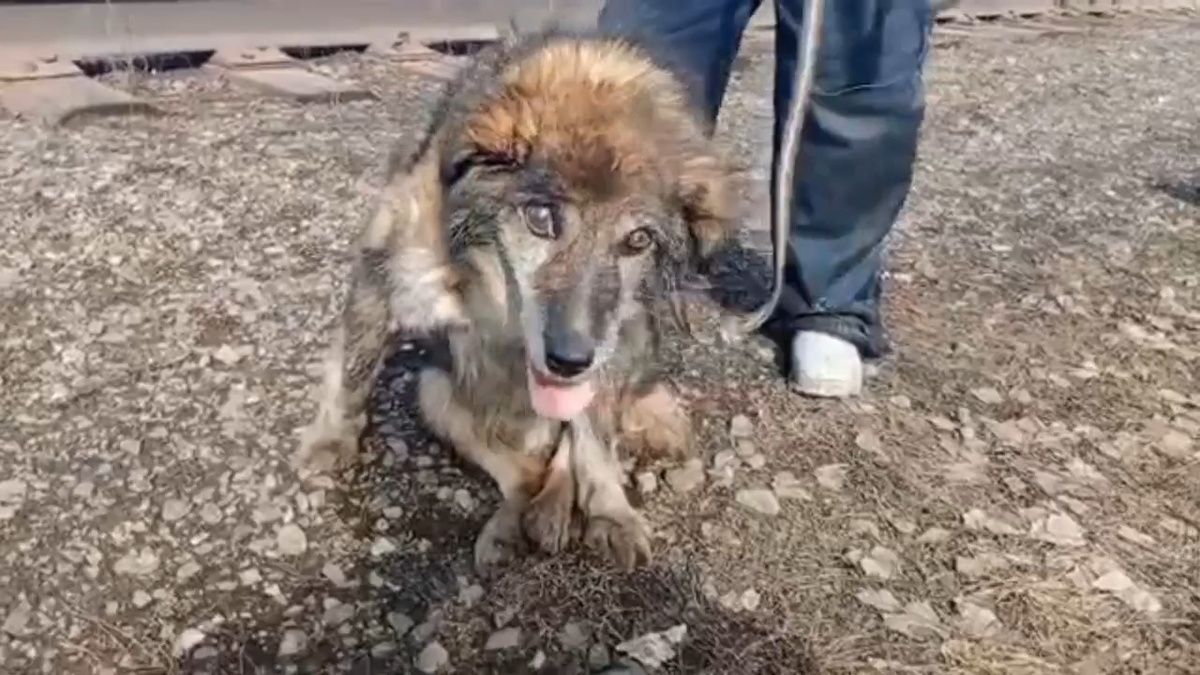 Совсем старенький 