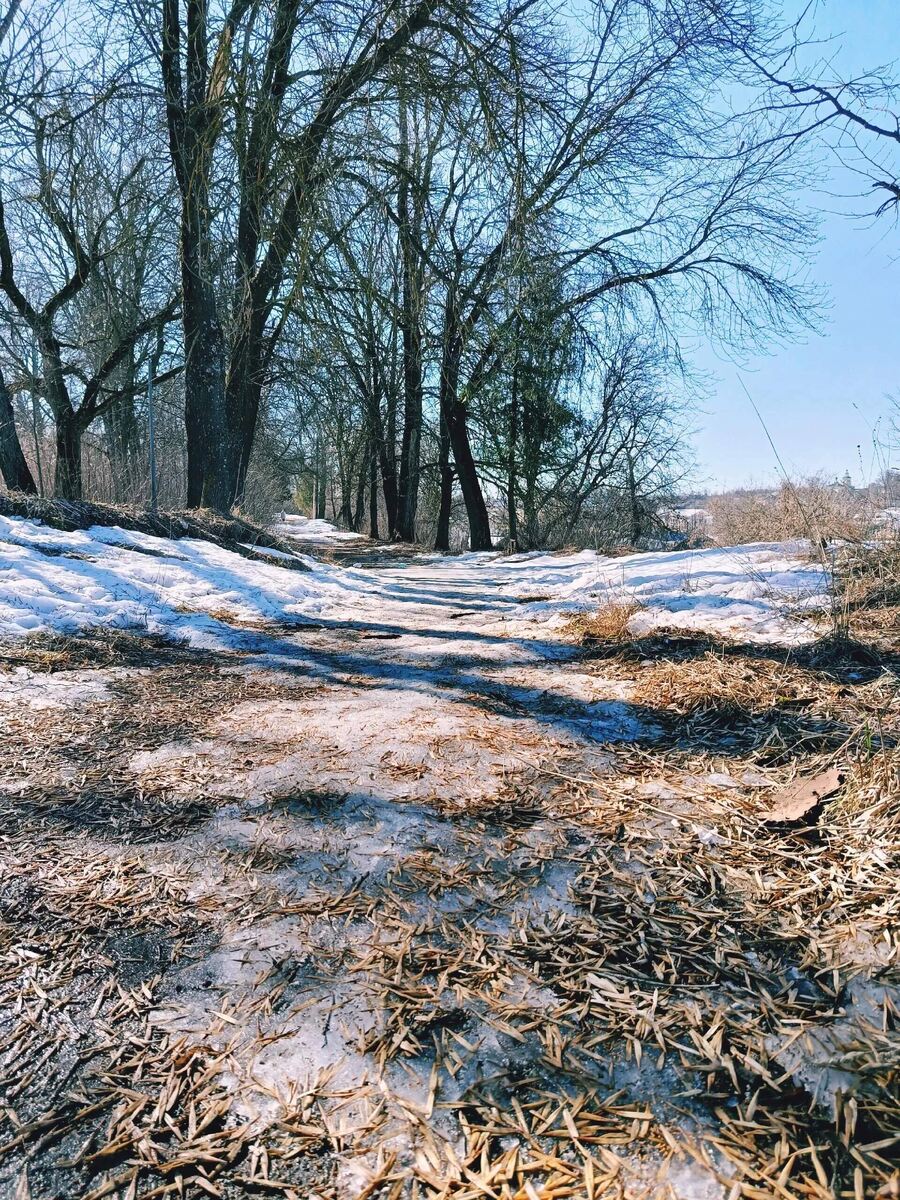 Фото с прогулки.