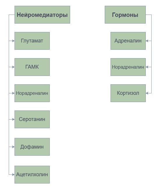 Гормоны и нейромедиаторы, выделяющиеся при страхе