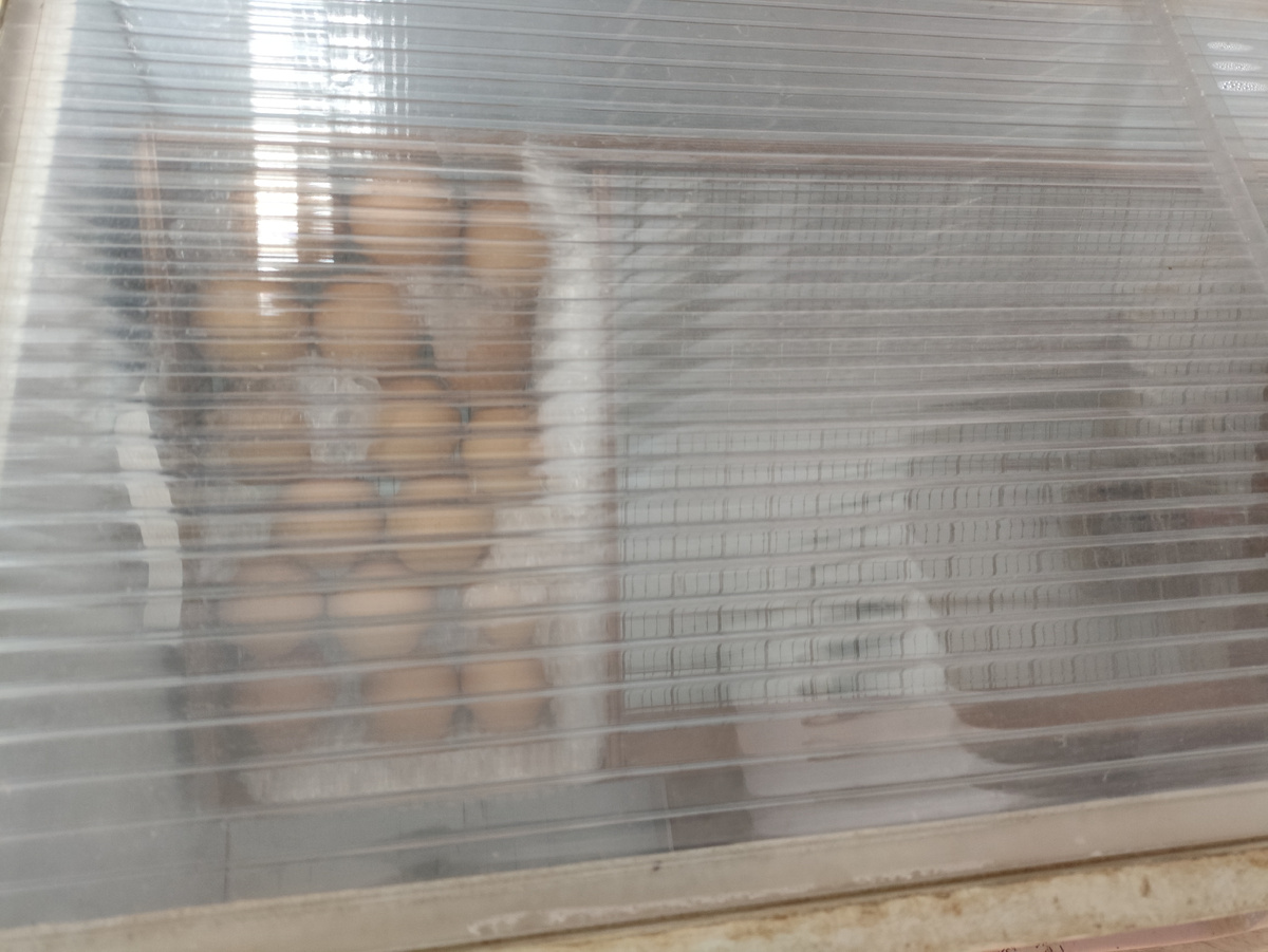 Итого осталось всего 17 яиц.