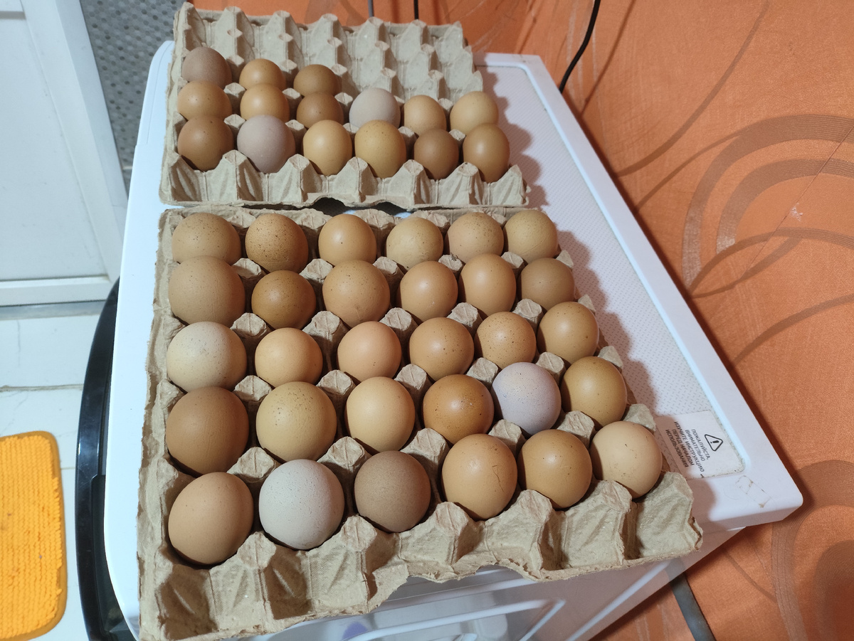 Тут можно посчитать. Еще 4 до этого вынула.