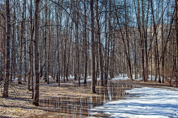 Так приятно порой окунуться с головой в праздную суету свежего и солнечного выходного дня ... С Воскресением Вас!   

Весна в Москве ...   

  