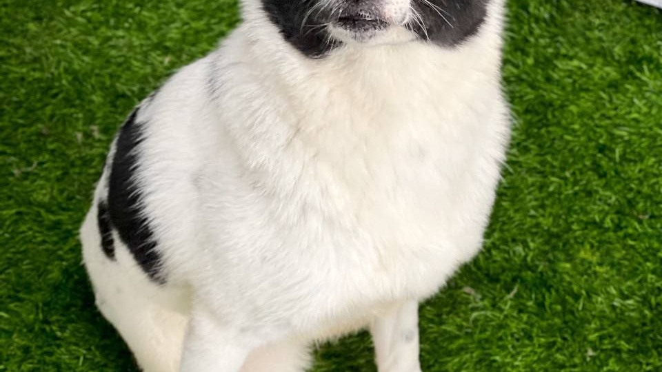 Есть в Бурятии Теремок, много жизней он сберег