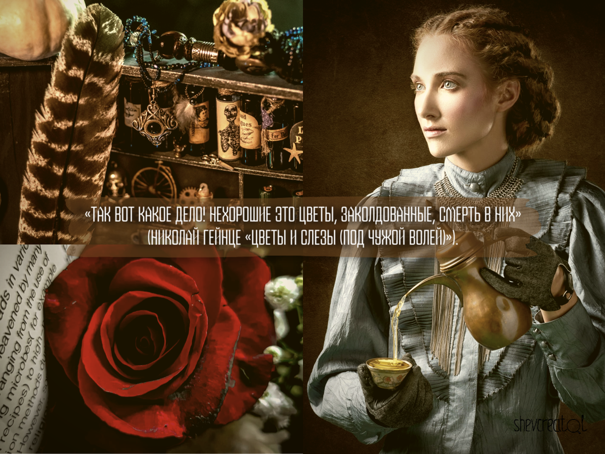 Коллаж автора. Создан в графическом редакторе SUPA.