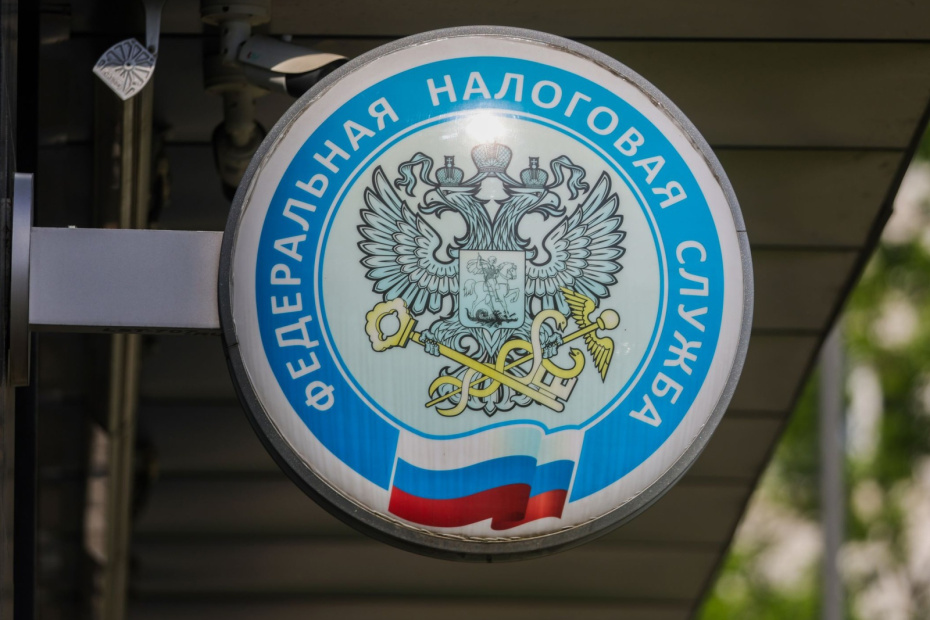    Наталья Шатохина/NEWS.ru