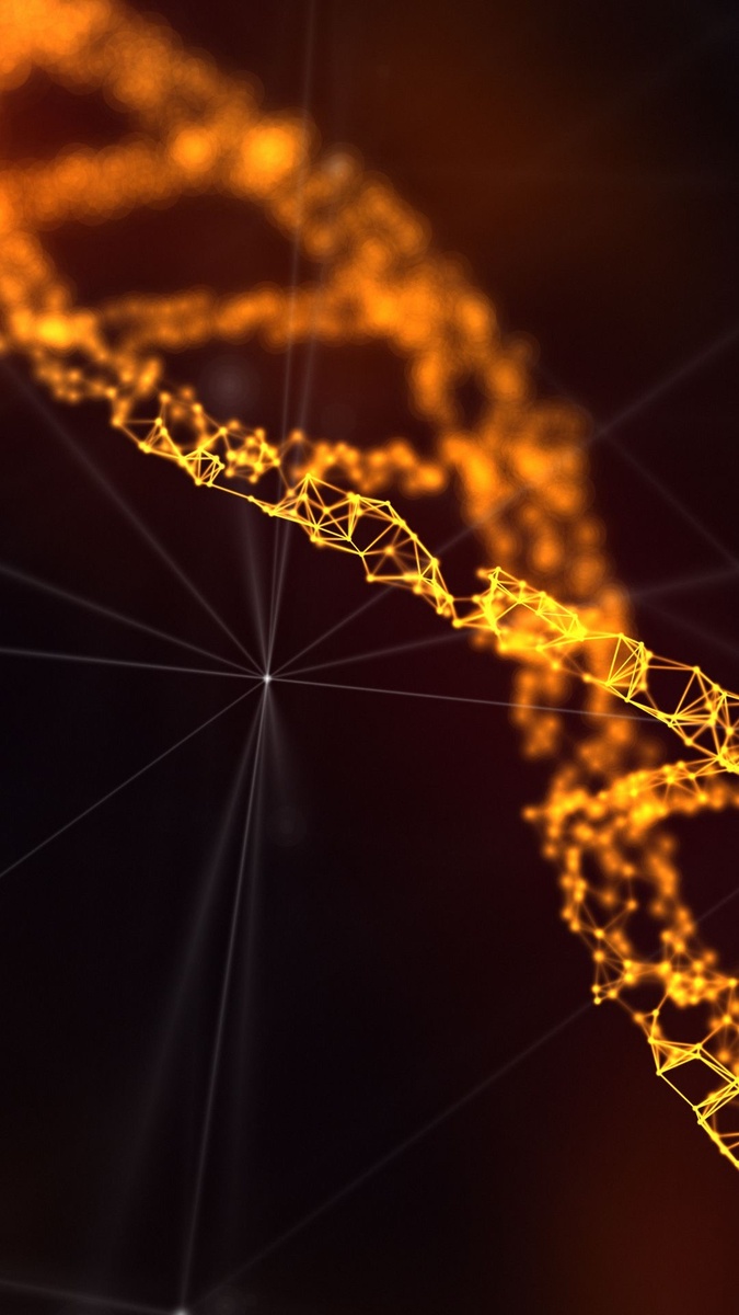 Источник: pinterest.com