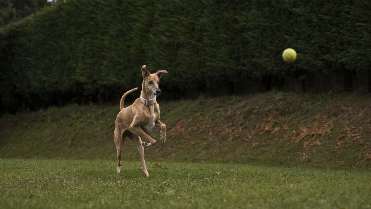    Контролируемая игра способствует социализации и не вызывает стресс
