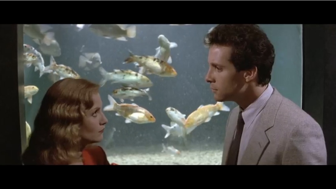 "Окно спальни"(США, реж. Кертис Хэнсон, 1987год). В гл.ролях - Стив Гуттенберг, Изабель Юппер, Элизабет Макговерн.