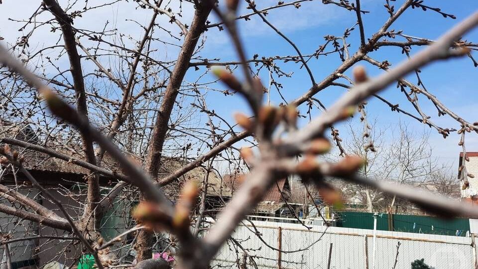 Какой будет погода в Волгограде 30 марта, сообщают синоптики