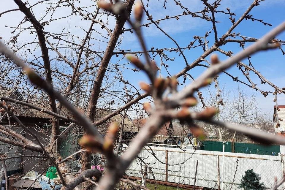    Фото: Елена Силантьева / "Городские вести"