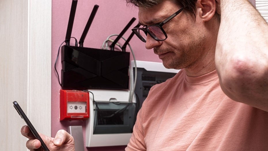    Автор фото: SOLDATOOFF/Shutterstock/FOTODOM