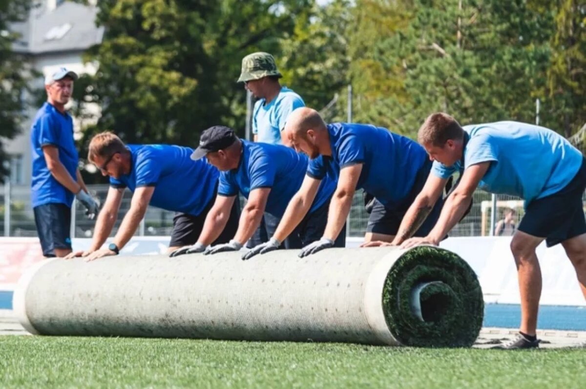    В Калининграде заменят газон на стадионе Пионер за 46 млн рублей