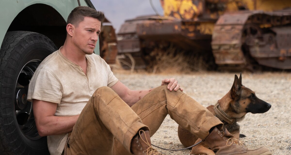    Кадр из фильма «Лулу и Бриггс» (Dog)