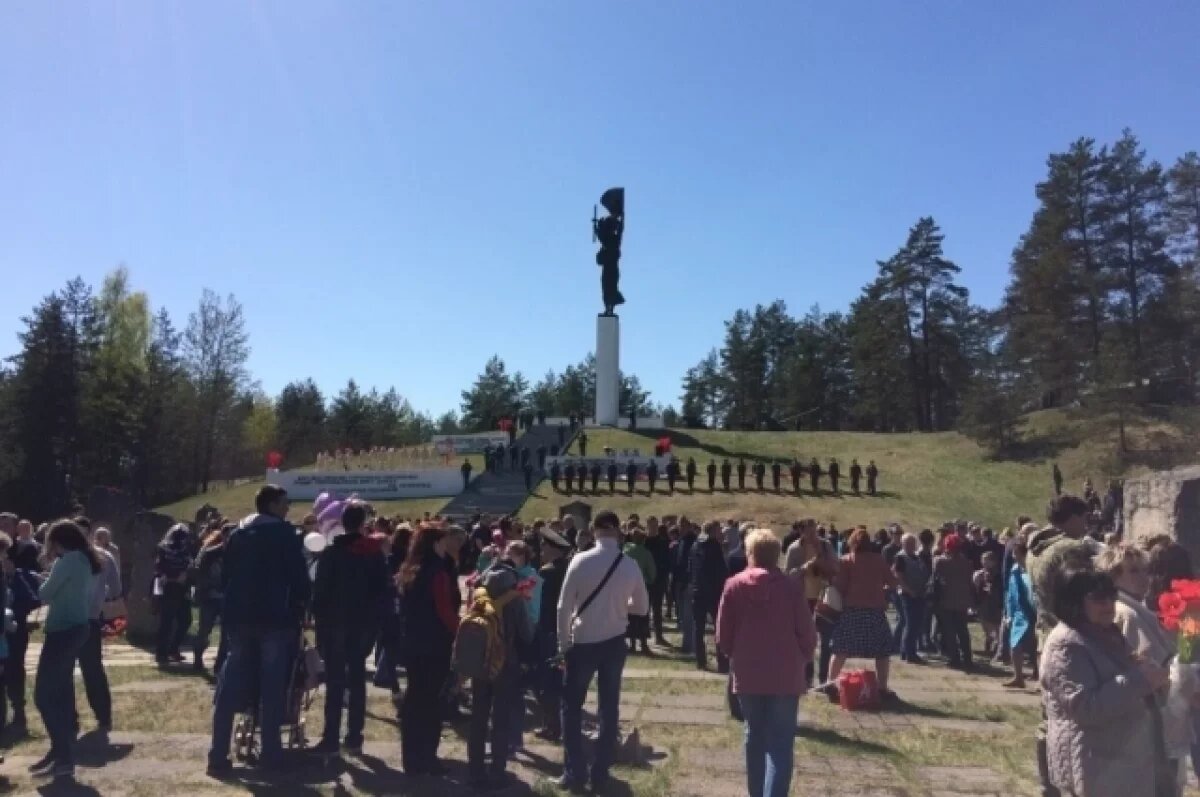   В Петербурге и Ленобласти отмечается День партизанской славы