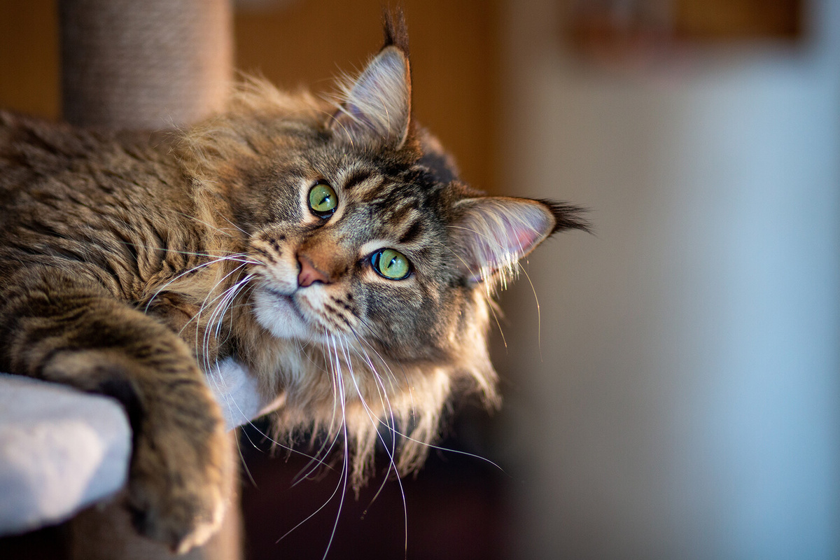 Источник: gazeta.ru