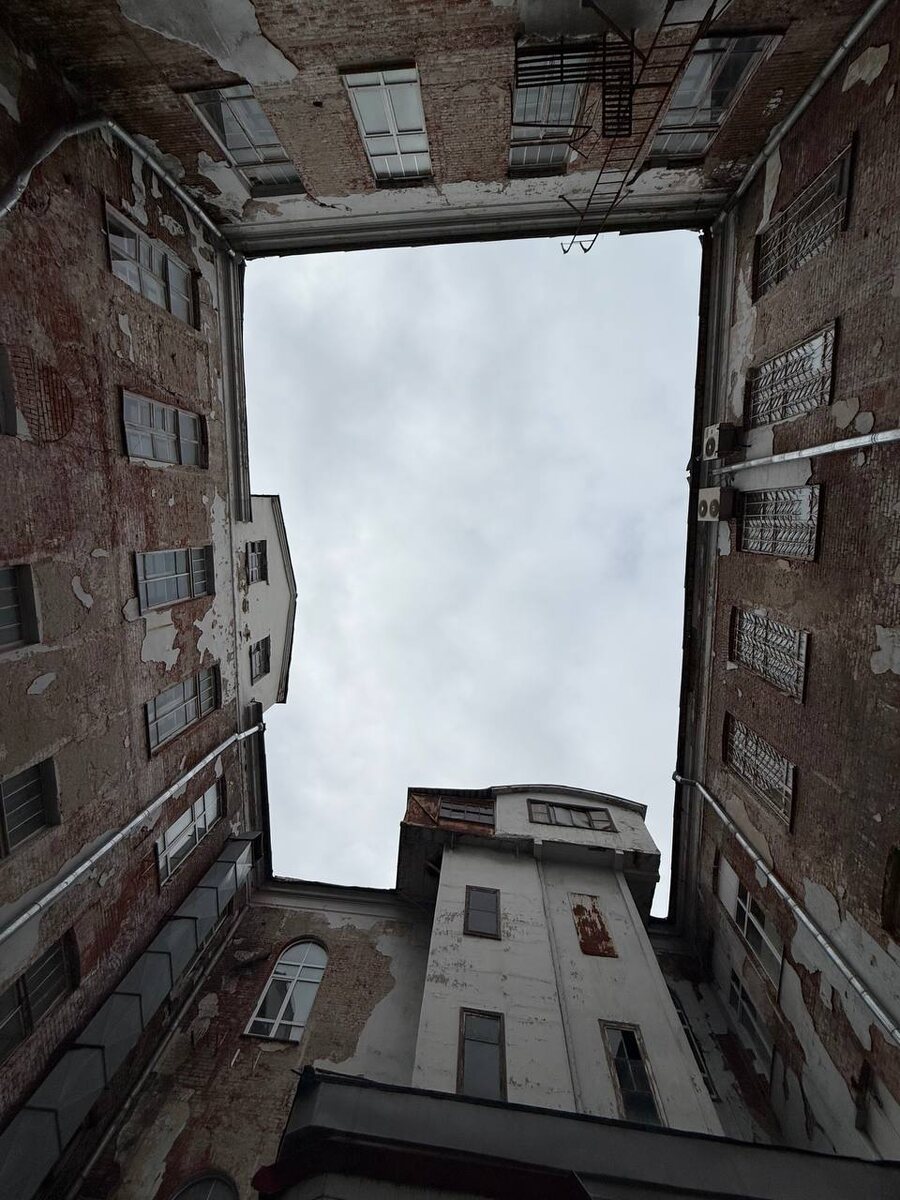 Ищите нас в MAX, VK, Telegram: присоединяйтесь к пешим прогулкам по Москве