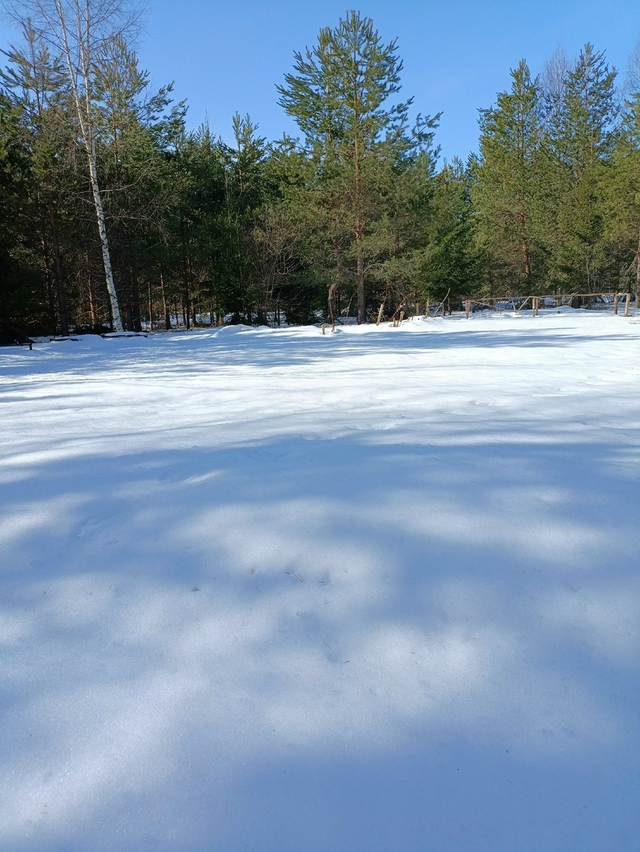 Мой вчерашний огород)
