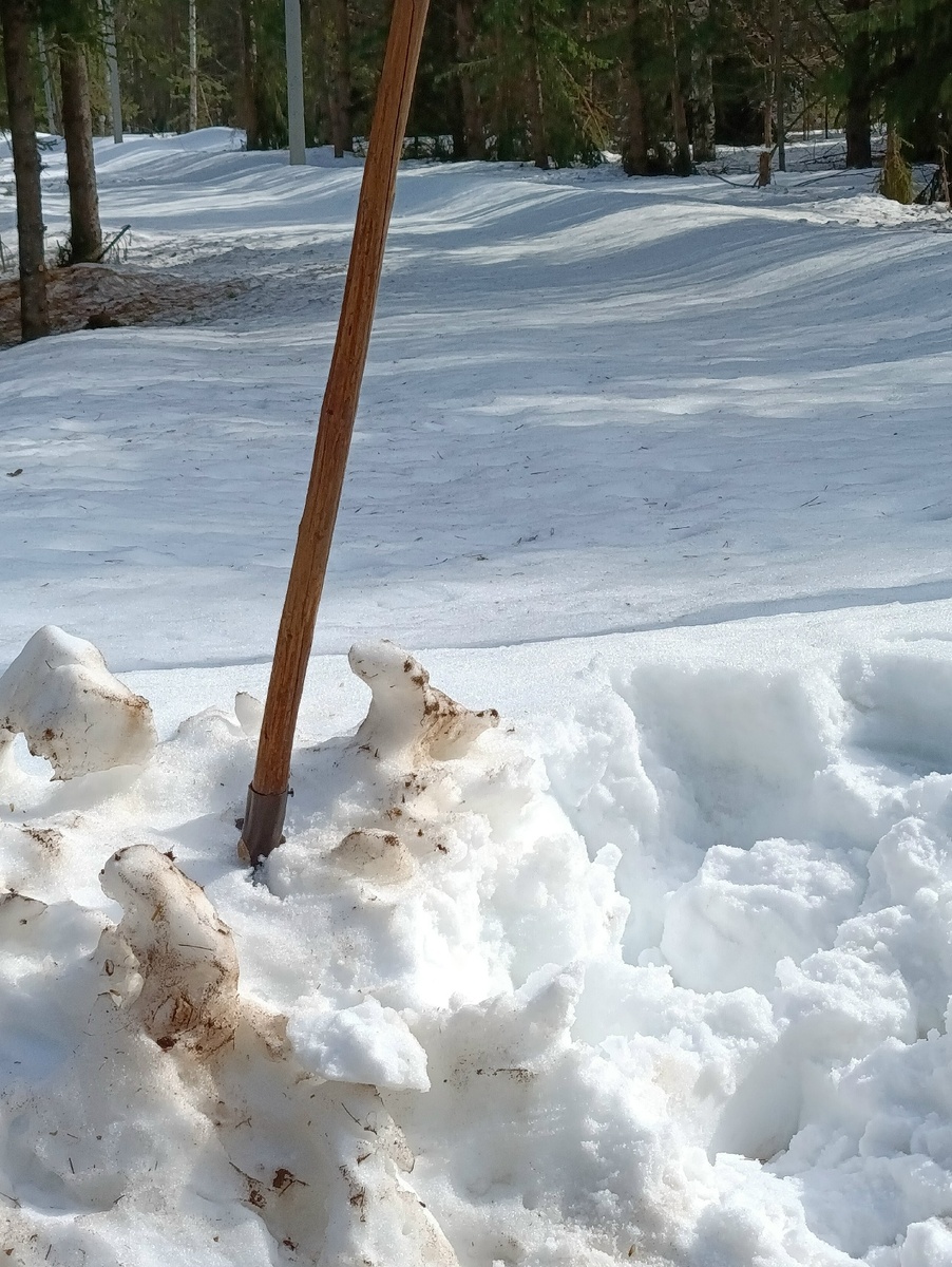 Дорога к дому. Видно, что чистили, но ооочень давно