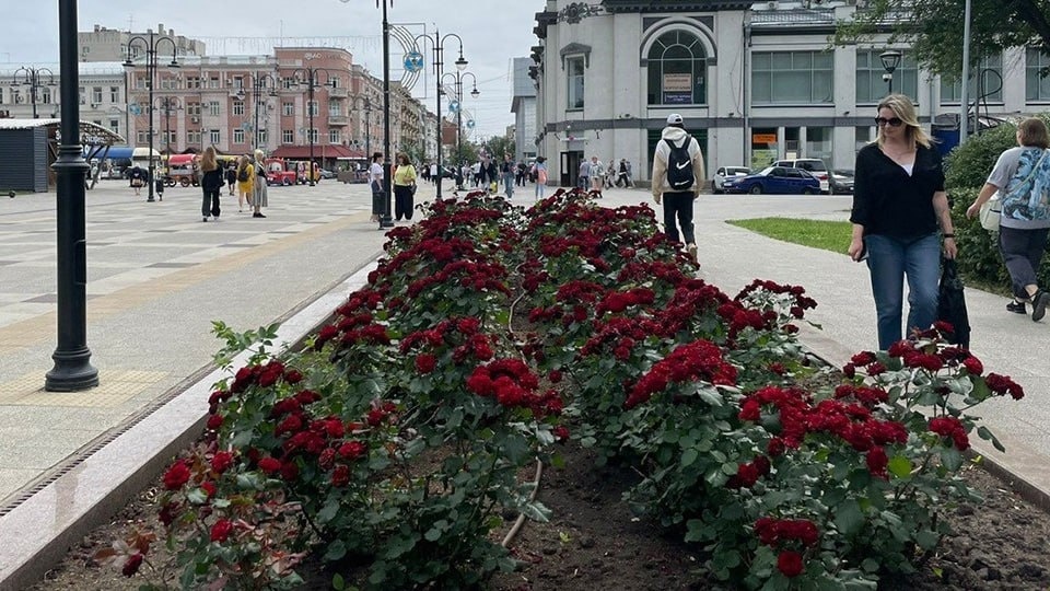 Яндекс Картинки.