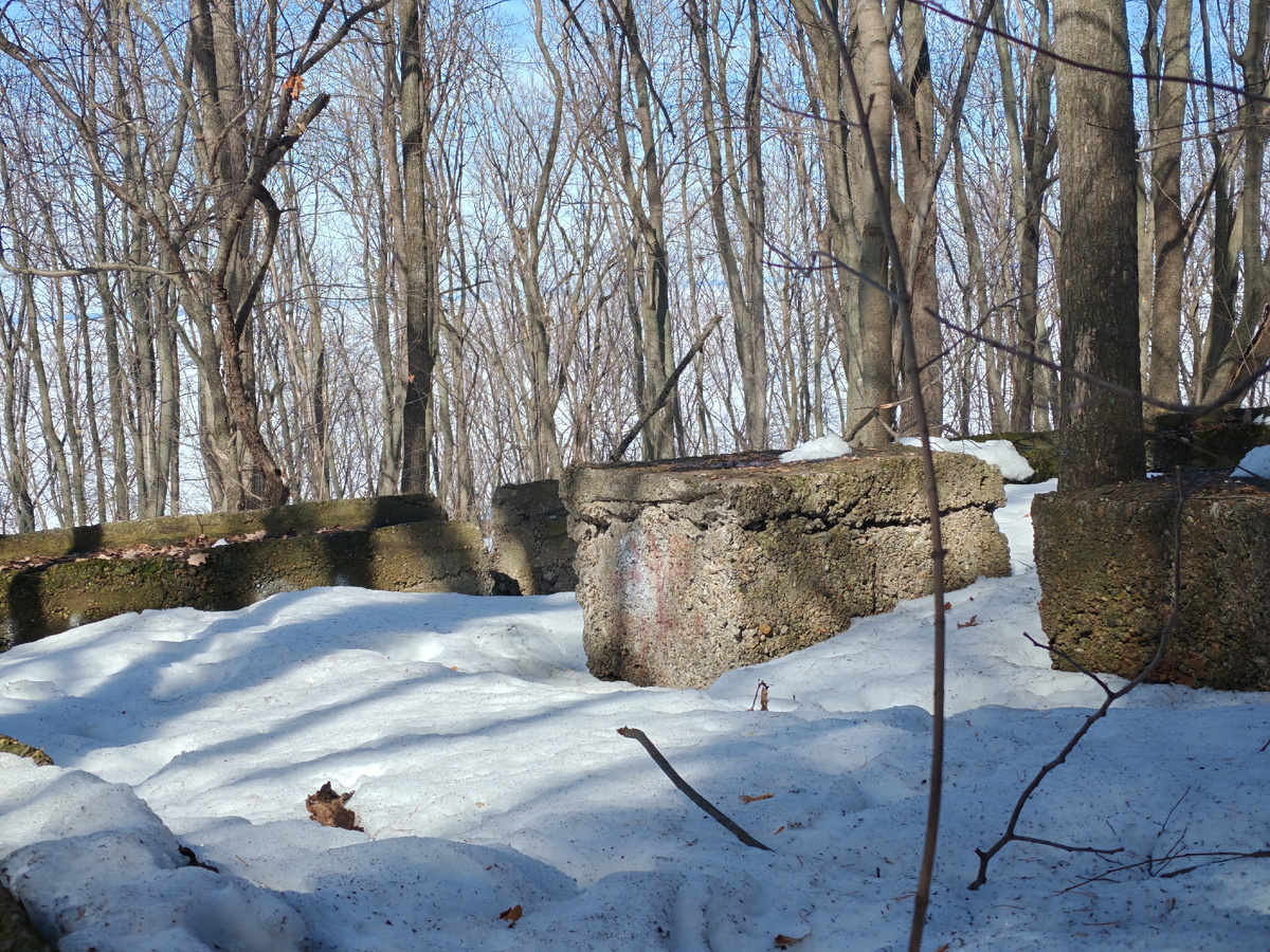 ФФото автора ото автора