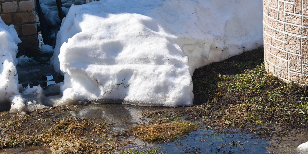 Неактивная жизненная позиция или Каждая семья - это государство