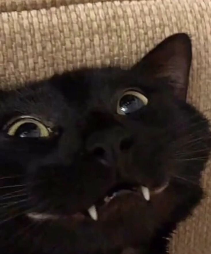 -Народ нынче какой-то нервный стал!