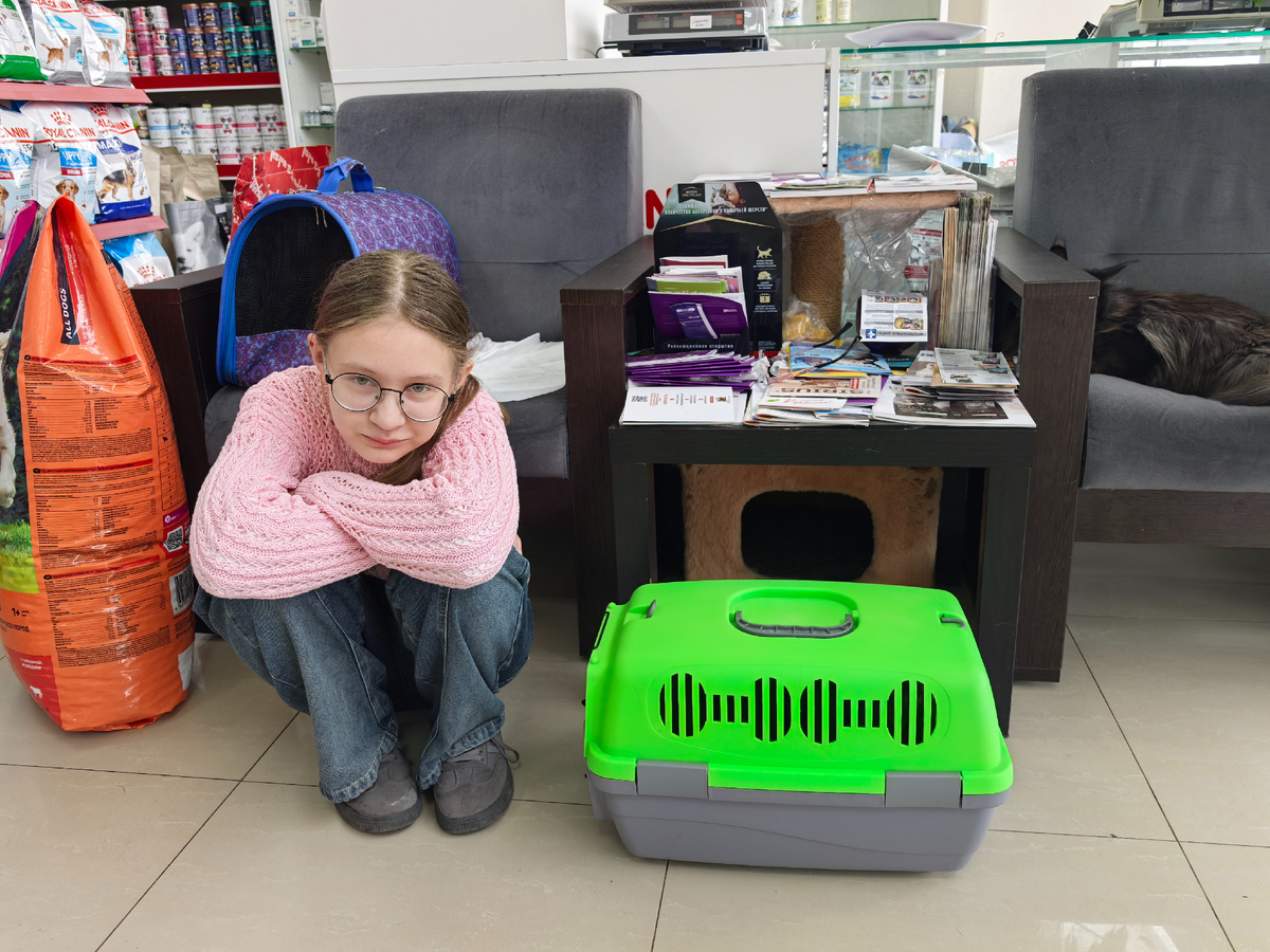 Специально купили коту переноску. Лиза сидит рядом с ним, чтобы не нервничал