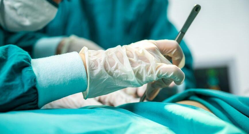    Ingram Publishing / Фотобанк Лори