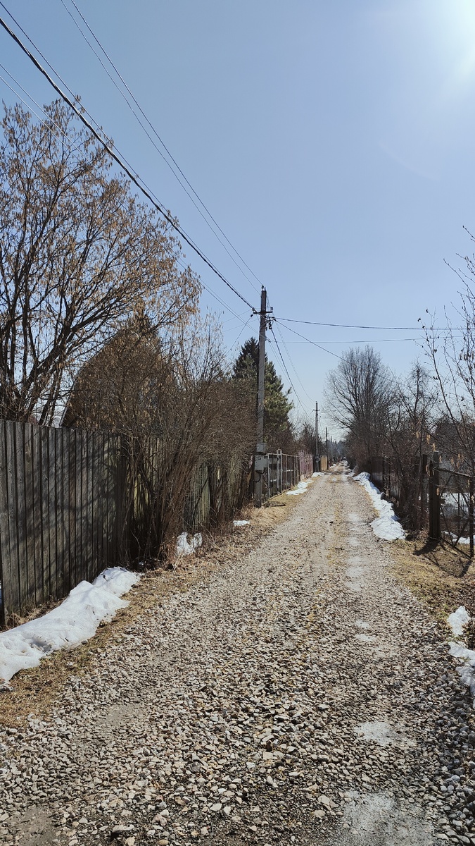 Родная улица моя. Слева цветёт орешник.