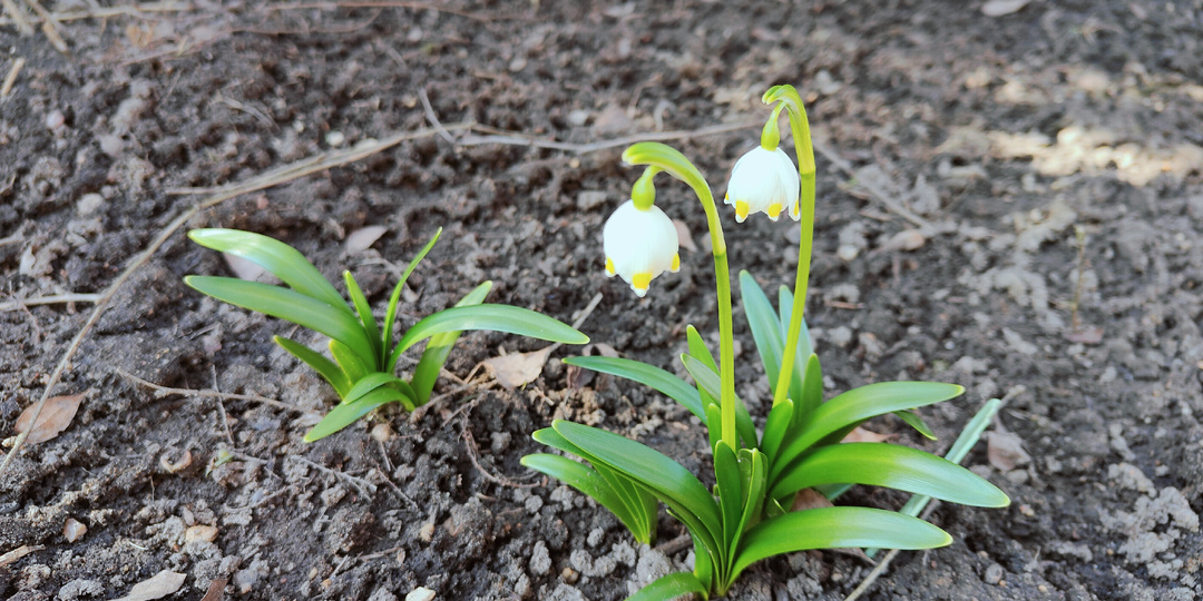 Поехала на разведку...