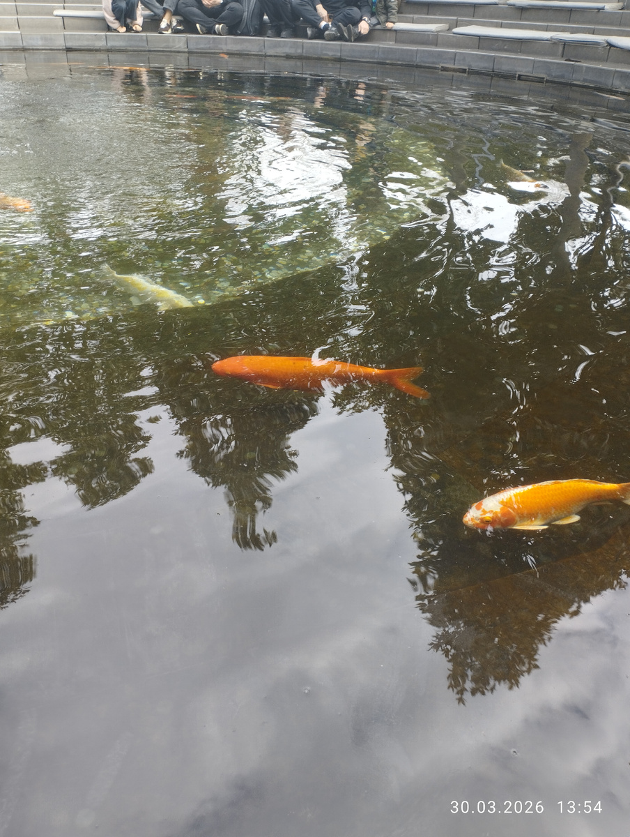 Парк Галицкого. 