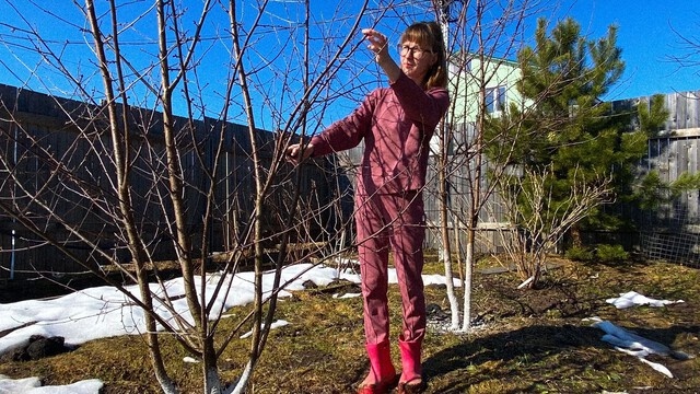 Хроники фазенды: март