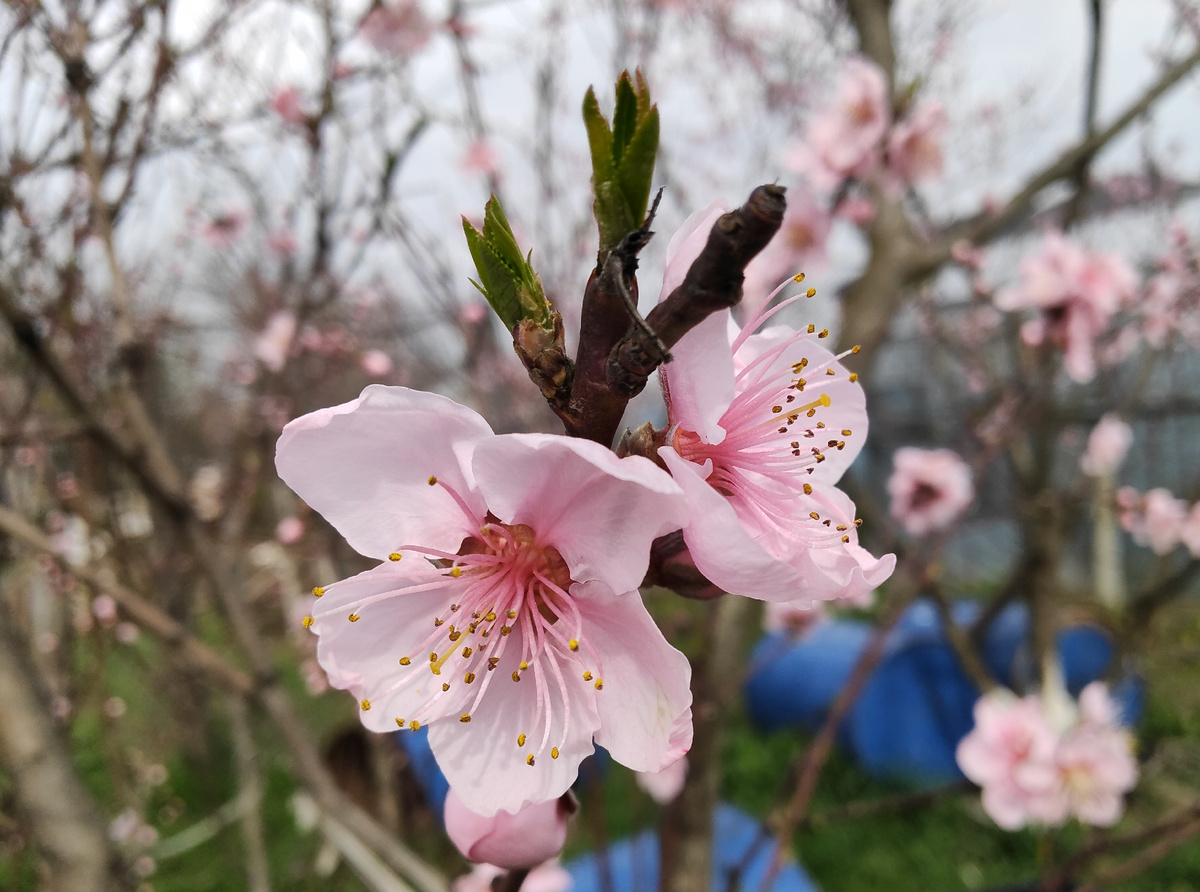 29 марта 2026 года