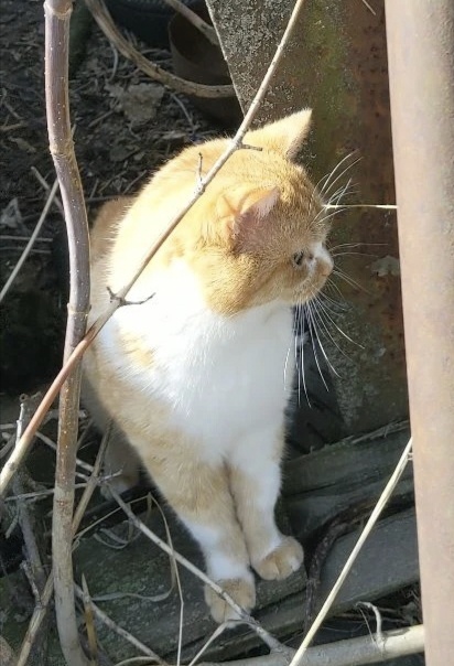 Мартовский Тимофей 