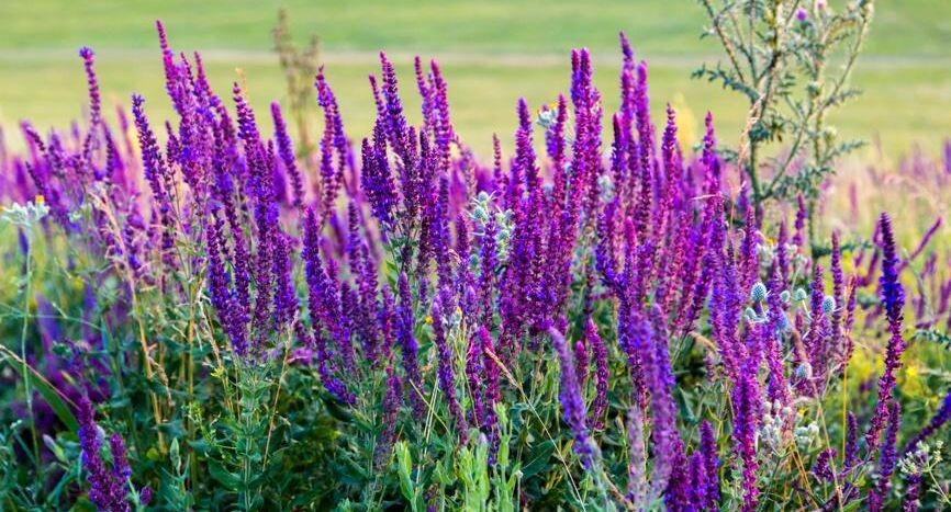    Ольга Сейфутдинова / Фотобанк Лори