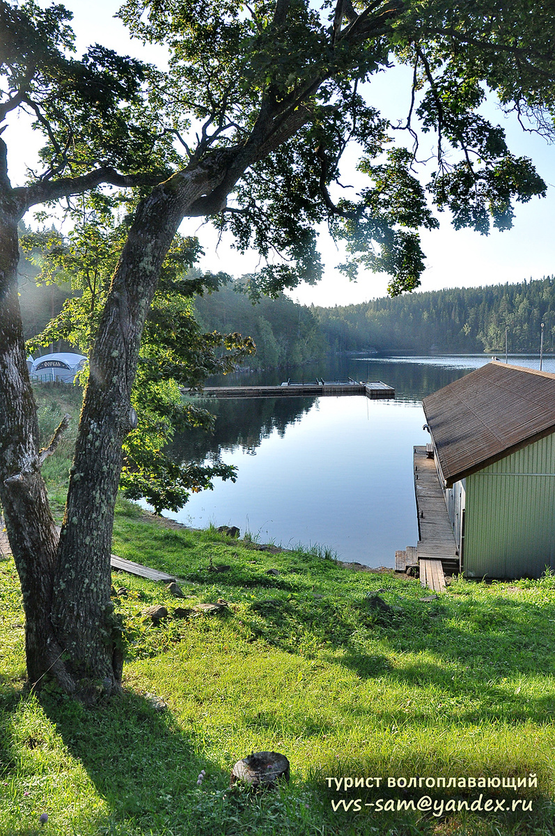 Фото 04.09.2024.