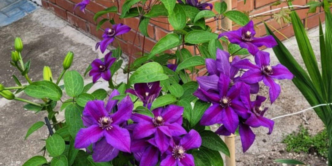 Результаты похудения участников весеннего марафона за март