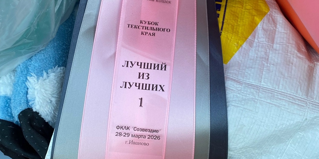 Мои кошачьи радости - лучшие из лучших