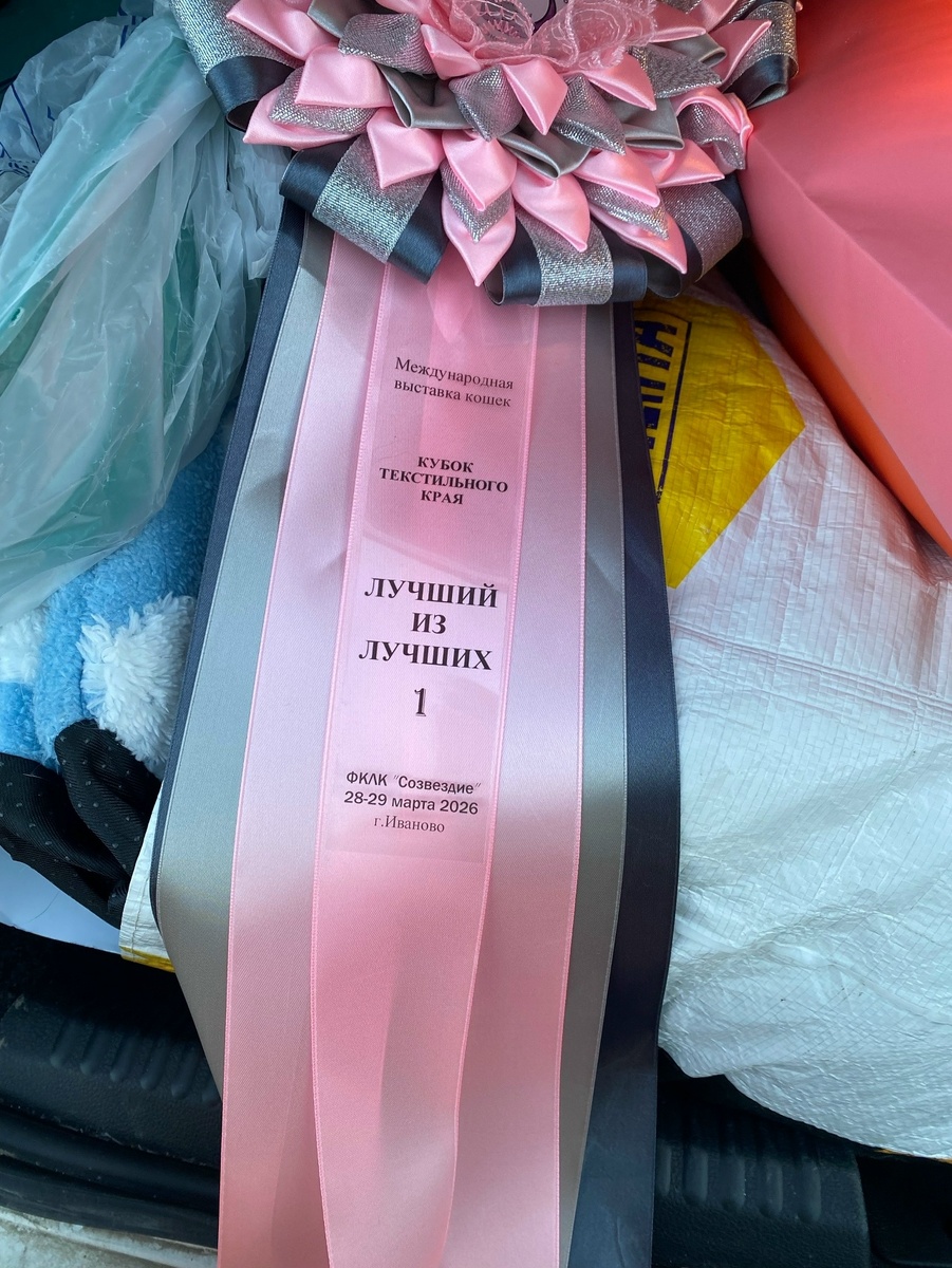 Очень ценная розетка