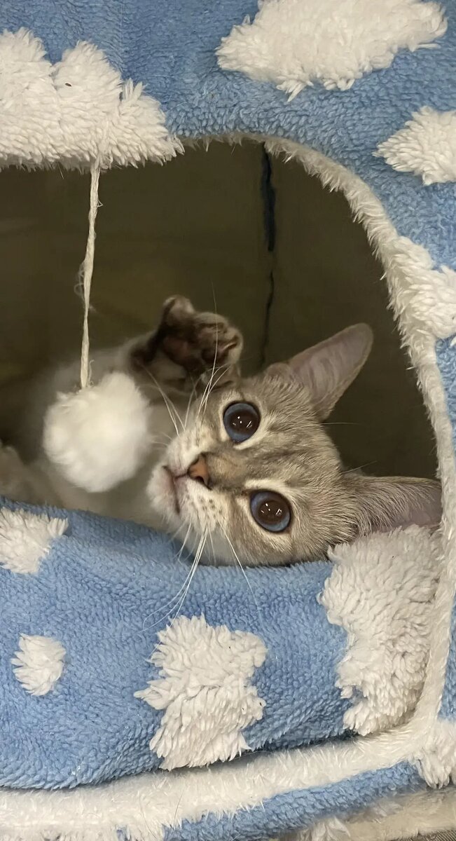 Эвридика на выставке витает в облаках